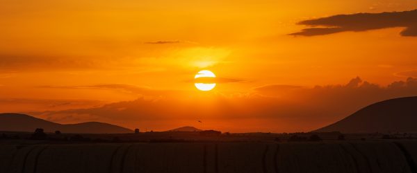 setting-sun-over-the-fields-KVAZQVU